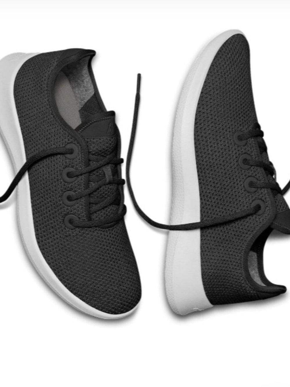 New in box! Allbird’s Tree Runner Shoes